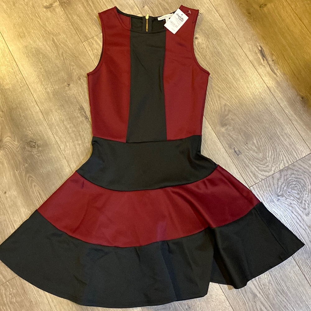 Charlotte Russe skater dress. NWT